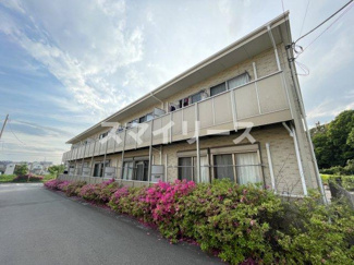 【展望】 | アムールetoile