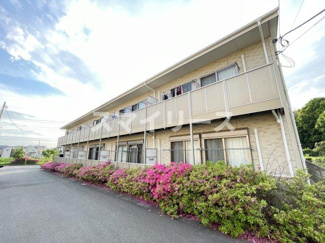 【その他】 | アムールetoile