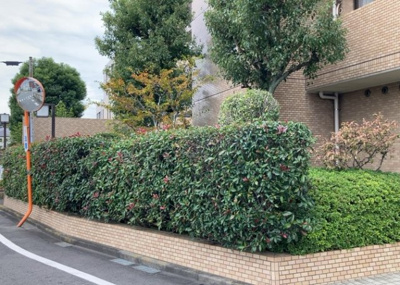 【庭】 | 南町田パーク・ホームズ | 物件によっては、入居者が個人的に使用できる専用庭がついているものもあります。また、住宅の中にある土間の部分を庭と呼ぶこともあります。庭の用途は住む人によって変わり、それによってデザインもさまざまです。