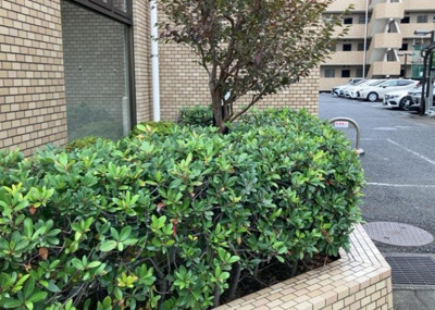 【中庭】 | 南町田パーク・ホームズ | 中庭（パティオ）とは、一つの建築物の内部に設けられた、壁などで囲われている庭のことを指します。コの字型、ロの字型が主流ですが、L字型の中庭もあります。最近では、インテリア性の高さからも人気があります。