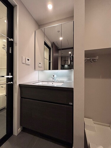 麻布台ヒルズレジデンスＢの洗面所|ゆったりとスペースのある洗面所