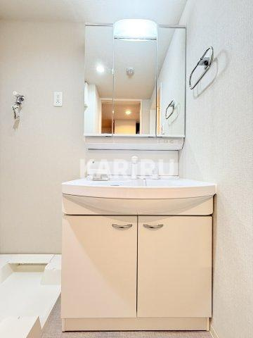 Gran Pino内淡路の洗面所