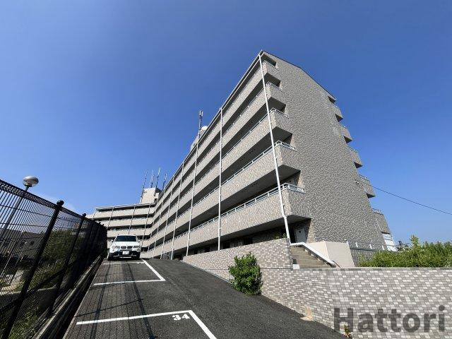 Gran Pino 春日(プランツ緑地)