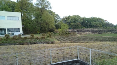 【展望】 | シンヴィオシスＤ