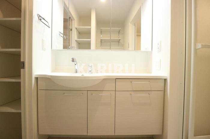 Les jours Shimizu（レ・ジュール清水）の洗面所