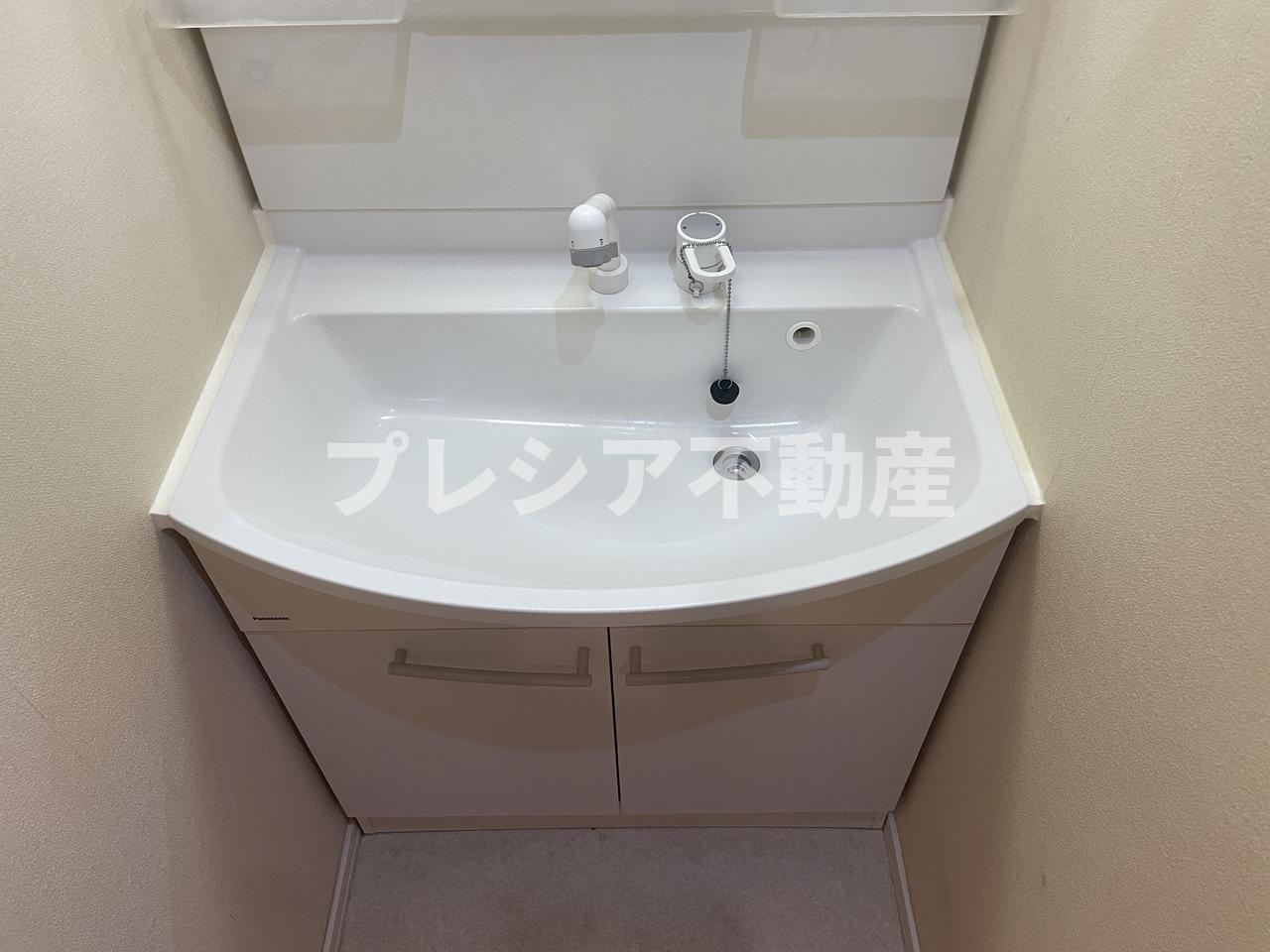ブルーリーフⅡの洗面所
