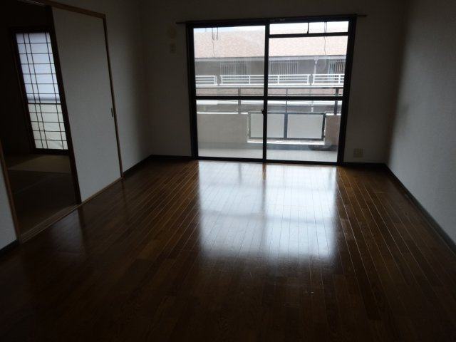 プリメール花畑