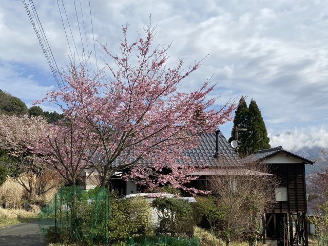 【その他】 | 阿蘇郡南阿蘇村河陰