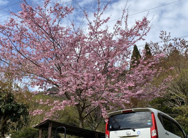 【その他】 | 阿蘇郡南阿蘇村河陰