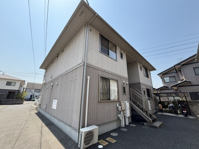 フォーシーズンズ夏