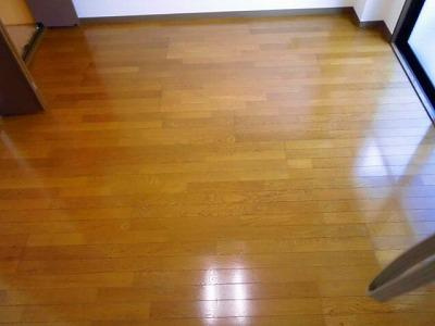 ヴィラパストラル２のその他