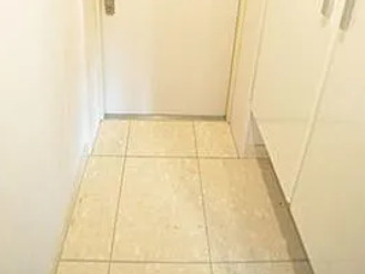 カスタリア北上野の玄関