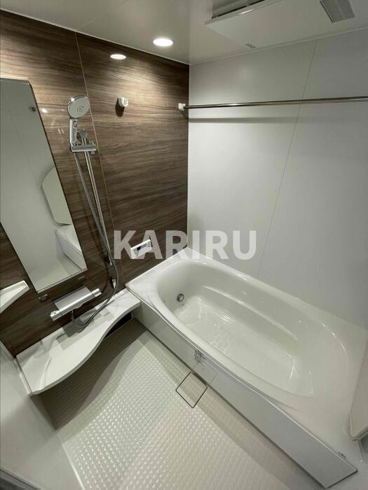 クラシスト新今里の浴室