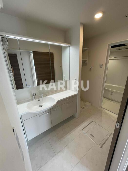 クラシスト新今里の洗面所