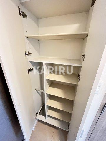 エスリード大阪城南グランデュクスの収納|収納豊富です
