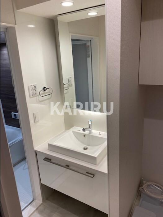 グラサ真田山の洗面所