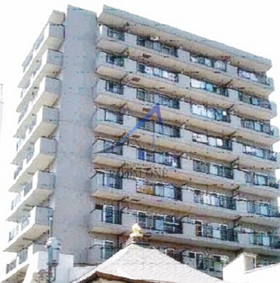 ロータス２１の外観