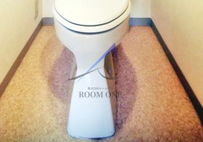 ロータス２１のトイレ|トイレです。