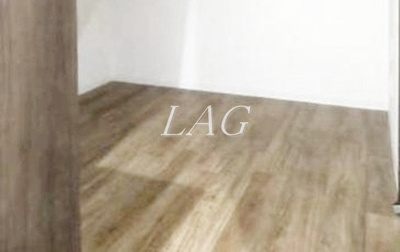 【居間・リビング】 | フェリーチェ中板橋 | 洋室のお部屋です。