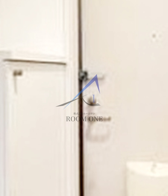 パークハイツけやきのセキュリティ|内鍵です。