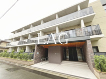 ＳＩＬＶＥＲＡＤＯ　ＳＨＩＢＡＳＡＫＩ－ＣＨＯの画像