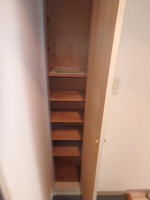 ダイホープラザ桜台の収納|靴入