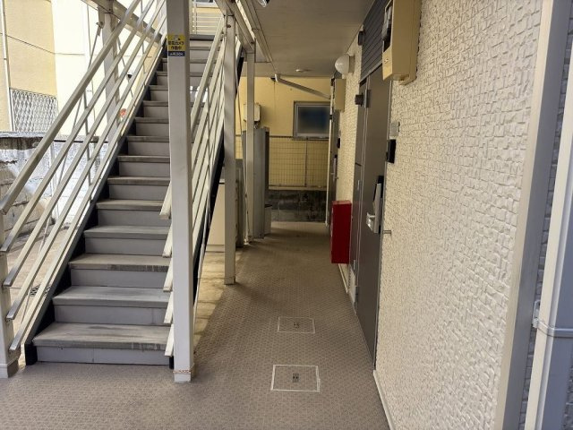 レオネクストスアのその他