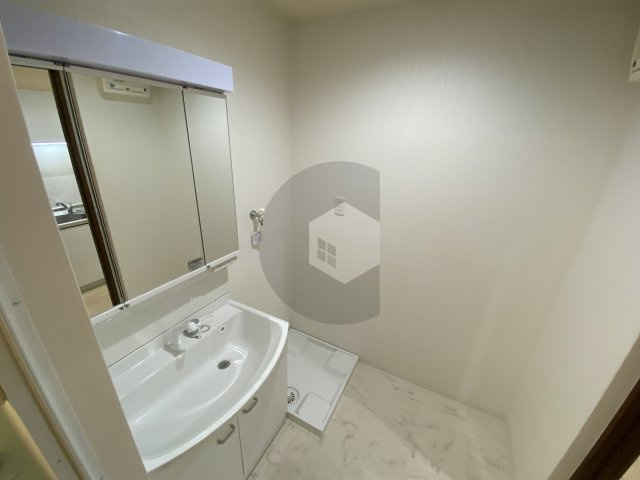 シャルマン緑橋の洗面所