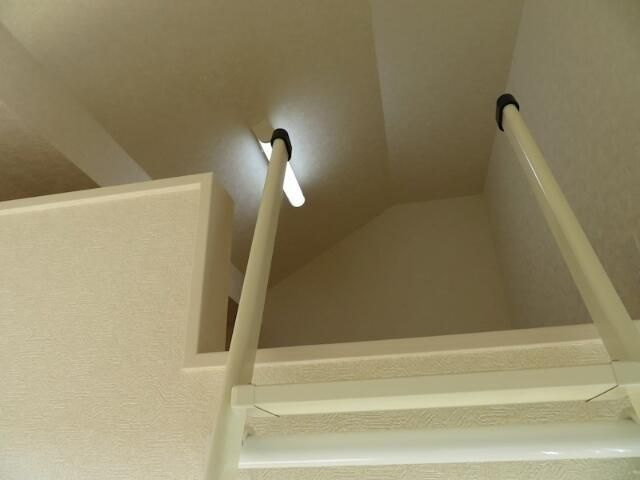 ソフィアテンポのその他