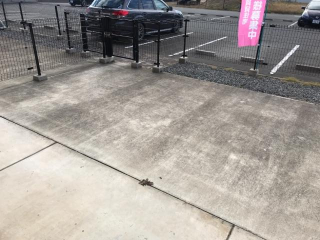 【庭】 | スイートピー | 庭