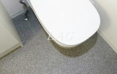 【トイレ】 | フェリーチェ中板橋 | トイレです。