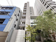 ハナミズキ福島の画像