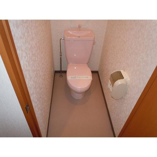 川崎市多摩区宿河原６丁目の賃貸マンションのトイレ