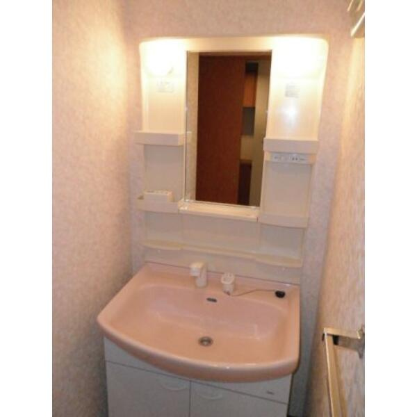 川崎市多摩区宿河原６丁目の賃貸マンションの洗面所