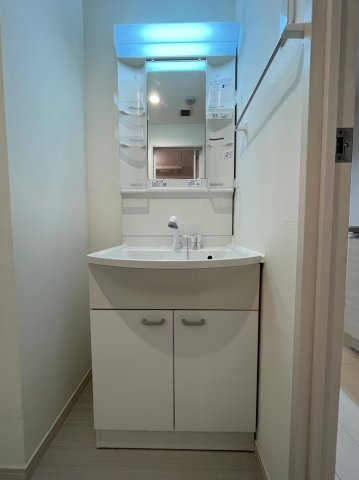 リブリ・Garden Quartzの洗面所