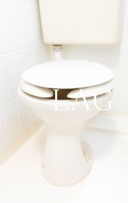 【トイレ】 | ライオンズマンション西新井本町第２ | トイレです。