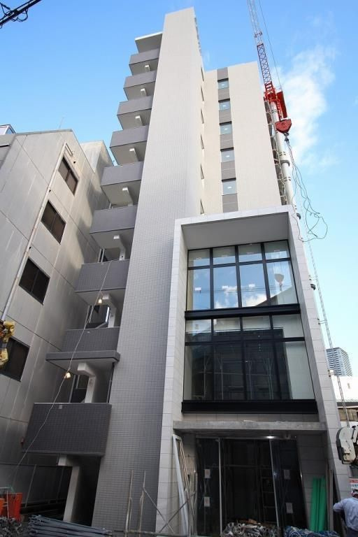 ハナミズキ福島