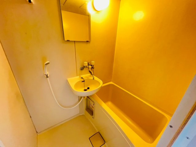 ネオパレスⅠの洗面所