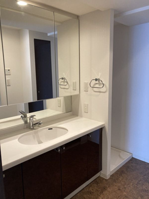 【洗面所】 | アップルタワー東京キャナルコート | 洗面所です