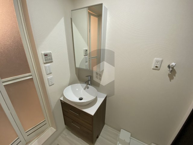 フジパレス城東諏訪ノース2番館の独立洗面台