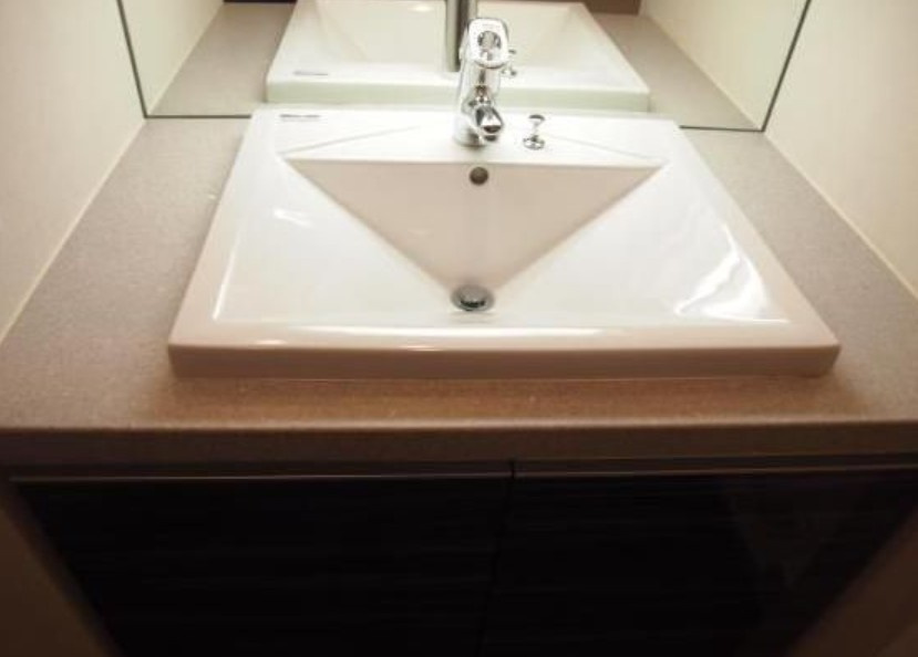 レックス日本橋水天宮プレミアタワーの洗面所