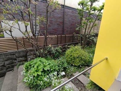 【展望】 | Colore