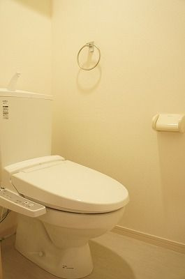 リブリ・ダロルのトイレ