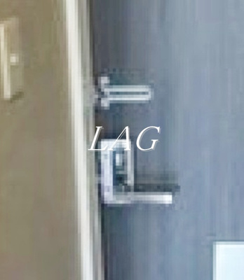 【セキュリティ】 | エステートガーデン岩槻 | 内鍵です。