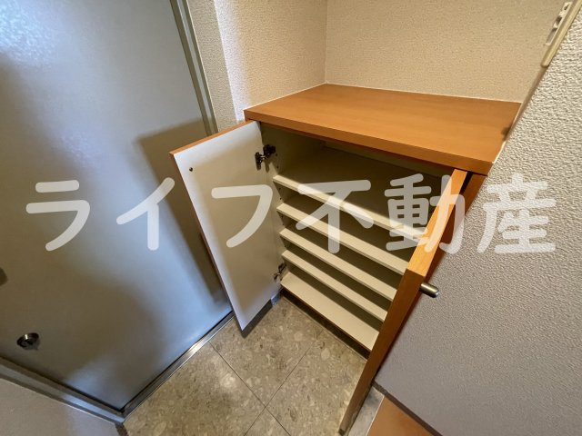 ディナスティ東大阪センターフィールドの収納|こまごまとしたものを収納できそうですね