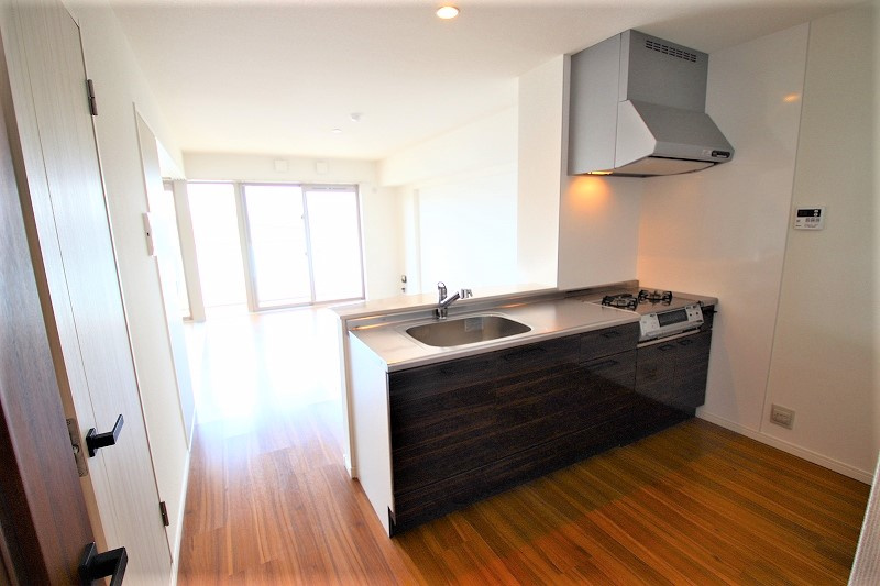 東合川ヒルズ【キャッシュバック対象物件】の内装|中はこのようになっています