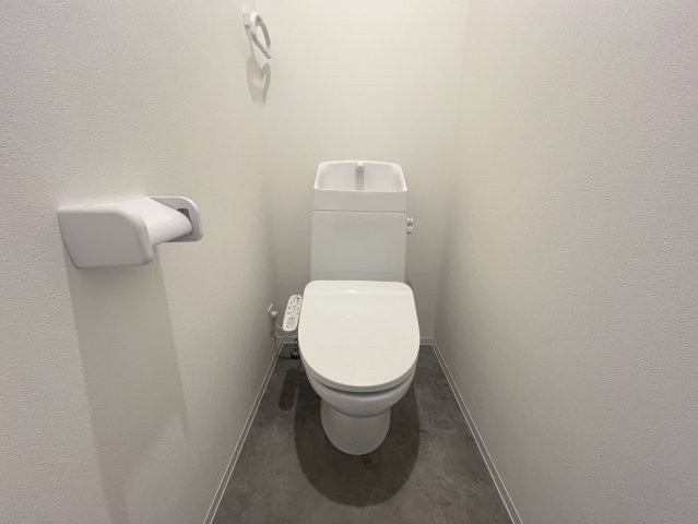 メゾン上小阪のトイレ