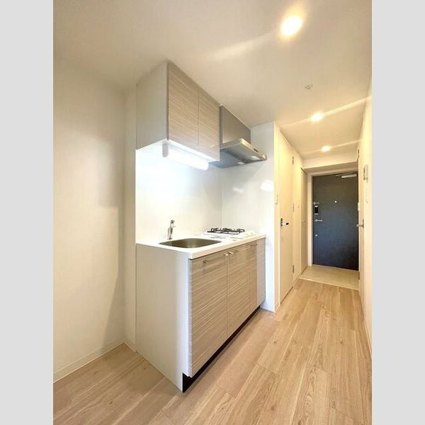 エスリード今池ルミナス　名古屋市賃貸　仲介手数料無料のキッチン|キッチン
