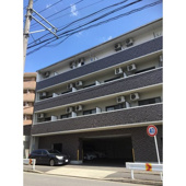 コーラル観月の画像