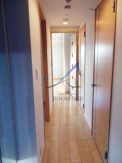 アイスバーグのその他